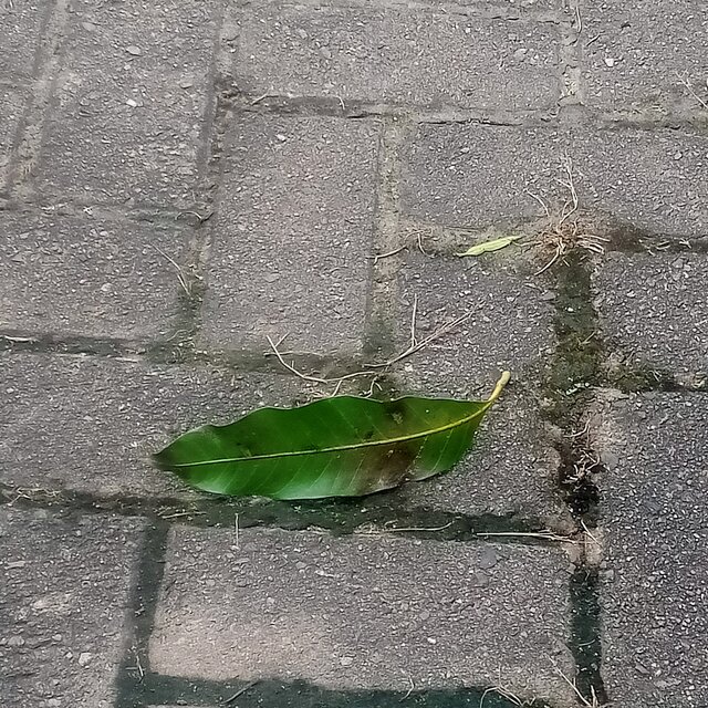 Aku terdiam