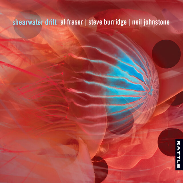 Shearwater Drift