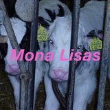 Mona Lisas