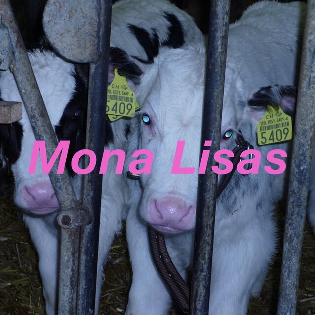 Mona Lisas