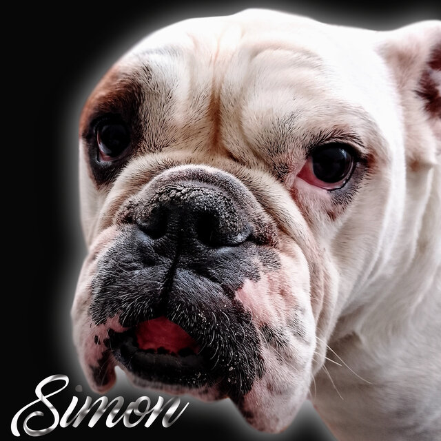 Simon
