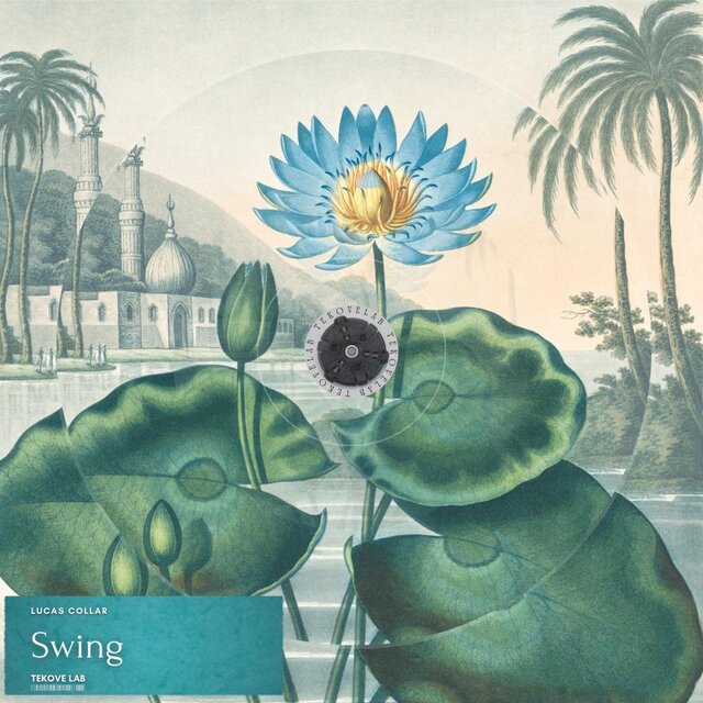 Swing