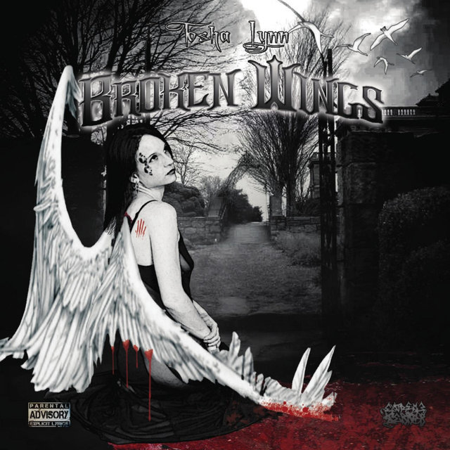 Broken Wings