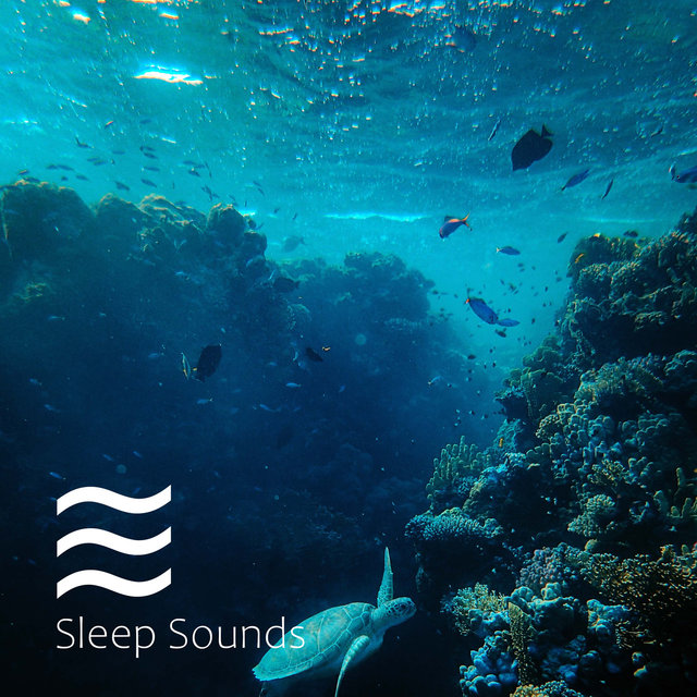 Fast Falling Asleep White Noise Loop