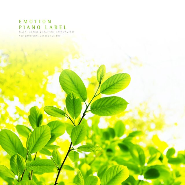 A Collection Of Piano With The Beginning Of A Good Morning