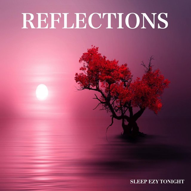 Reflections
