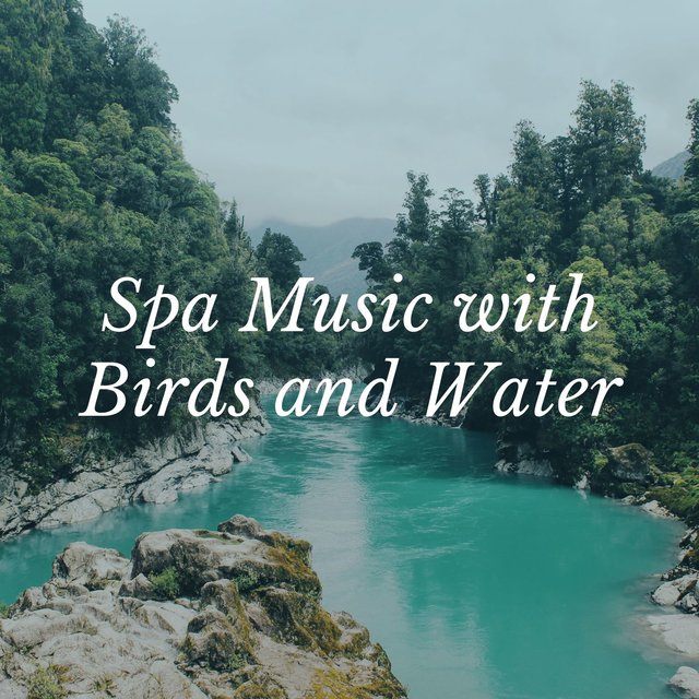 Spa Music with Birds and Water