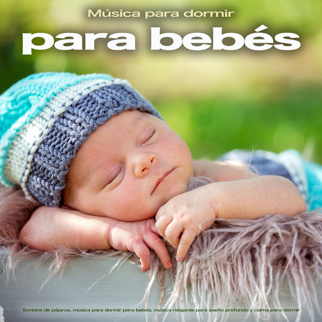 Musica Para Bebes Especialistas On Tidal