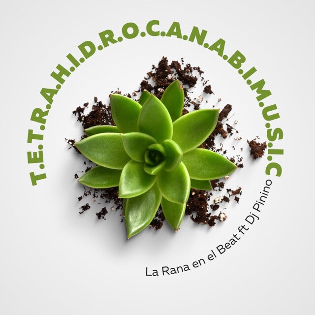 T.E.T.R.A.H.I.D.R.O.C.A.N.A.B.I.M.U.S.I.C (feat. Dj Pinino)