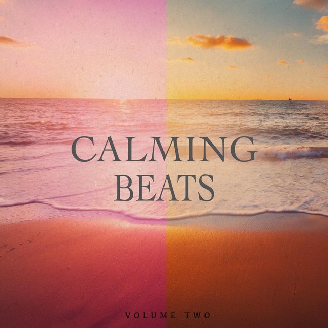 Calming Beats, Vol. 2 (Finest In Chill Out & Ambient Music)