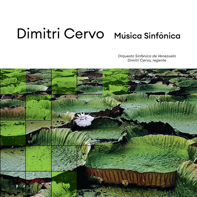 Música Sinfônica