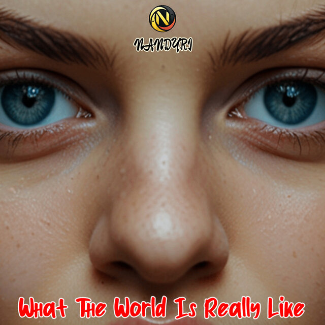 What The World Is Really Like