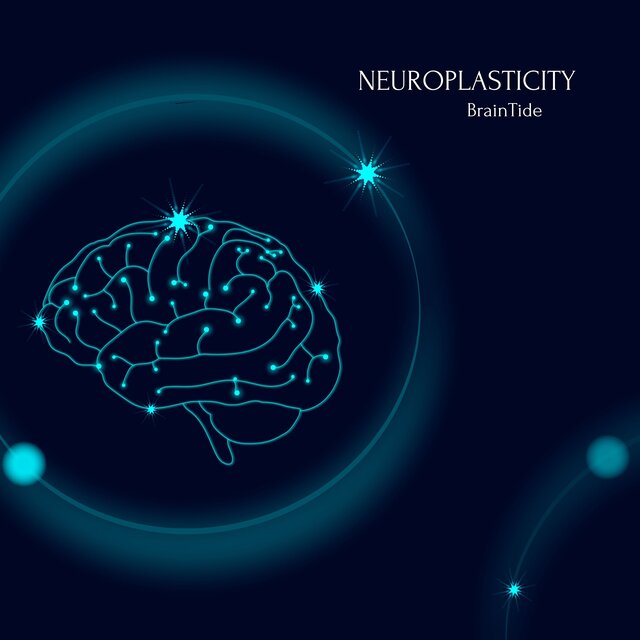 Neuroplasticity (Enhancing Cognitive Flexibility, Memory, Focus, and Creativity for Lifelong Brain Adaptation)