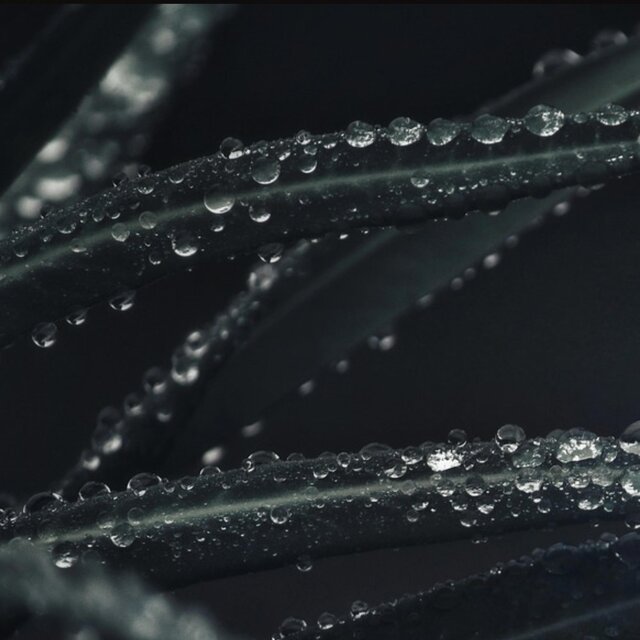 Rainvale
