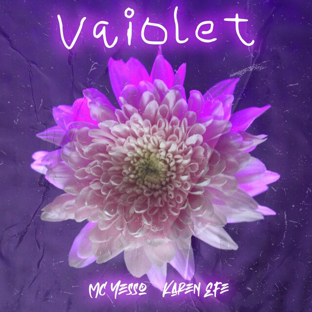 Vaiolet
