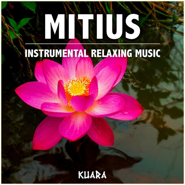 Mitius - Instrumental Relaxing Music