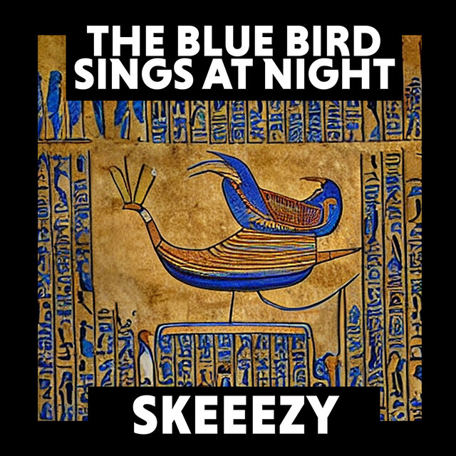 The Blue Bird Sings at Night