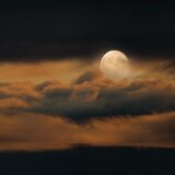 Evening Peace Tunes