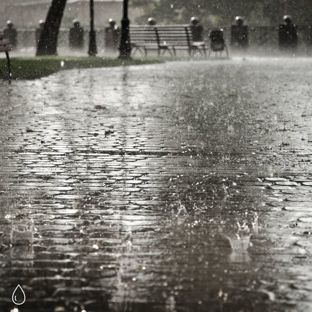 Nature's Rain
