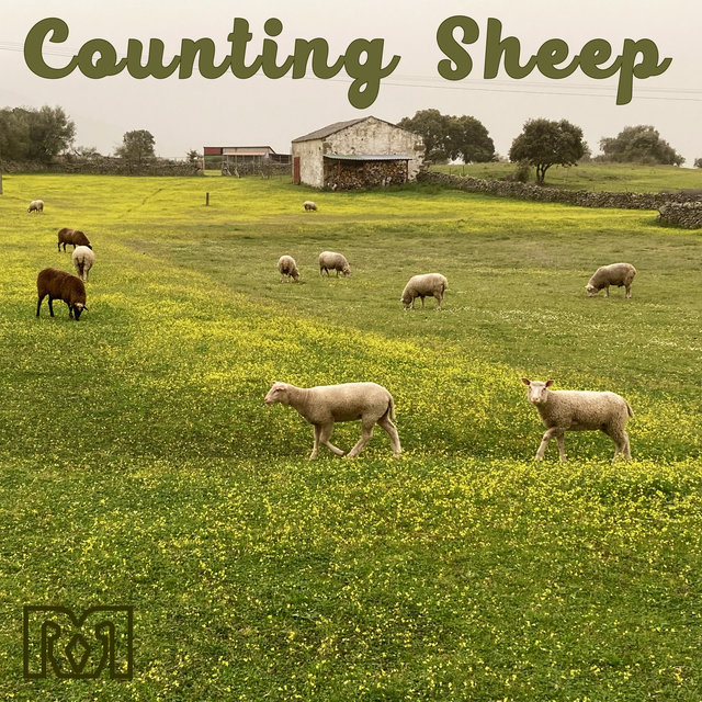 Counting Sheep