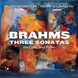 Sonata for Violin and Piano in D Major, Op. 78 (Trans. for Cello and Piano): III. Allegro molto moderato