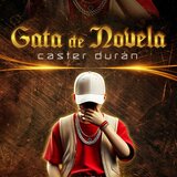 Gata de Novela