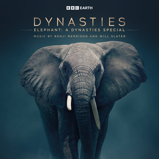 Elephant: A Dynasties Special (Original Television Soundtrack)