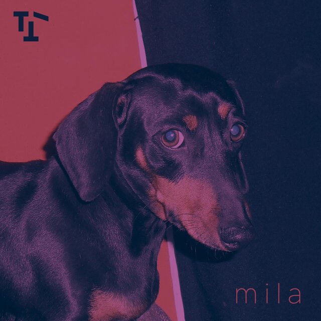 mila