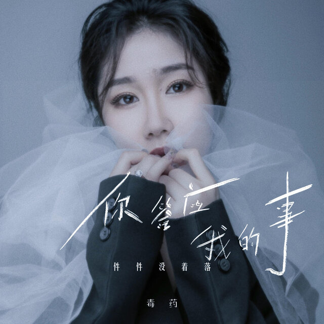 你答应我的事 (毒药版)