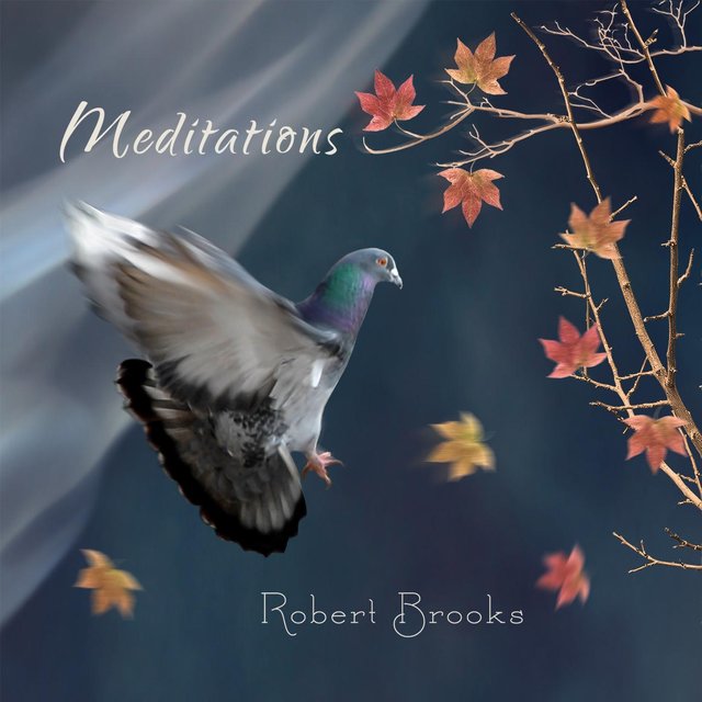 Meditations