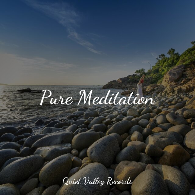 Pure Meditation