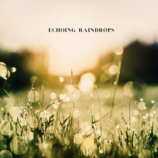 Echoing Raindrops