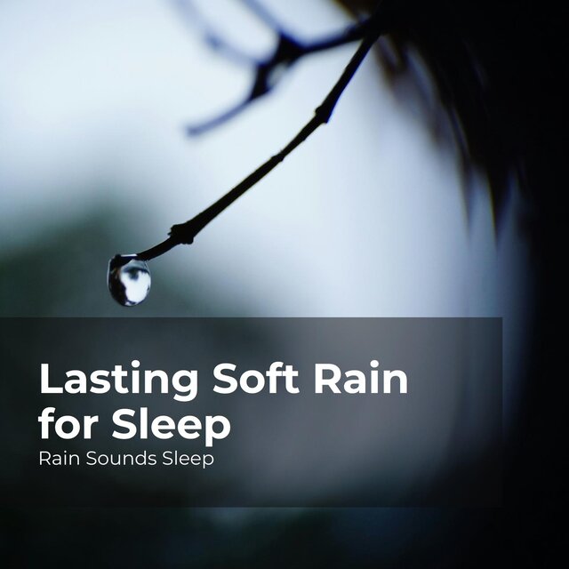 Lasting Soft Rain for Sleep