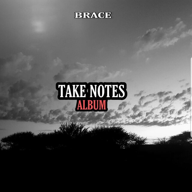 Take Notes Album