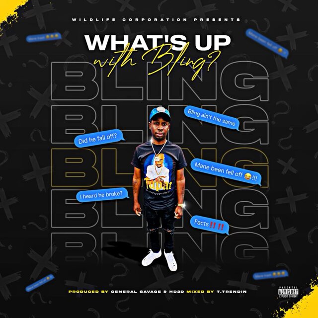 What's Up With Bling?