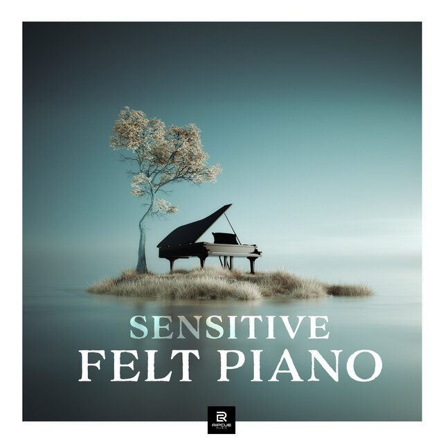 Sensitive Felt Piano