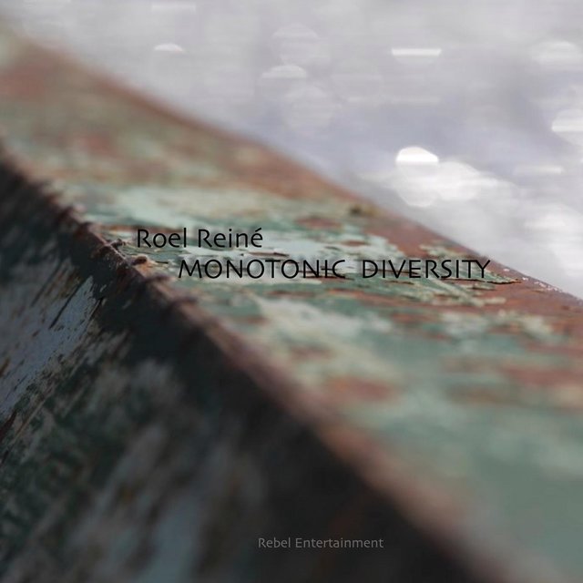 Monotonic Diversity