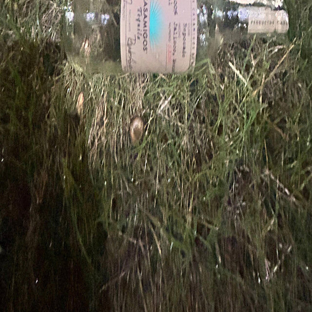 #urascrub!