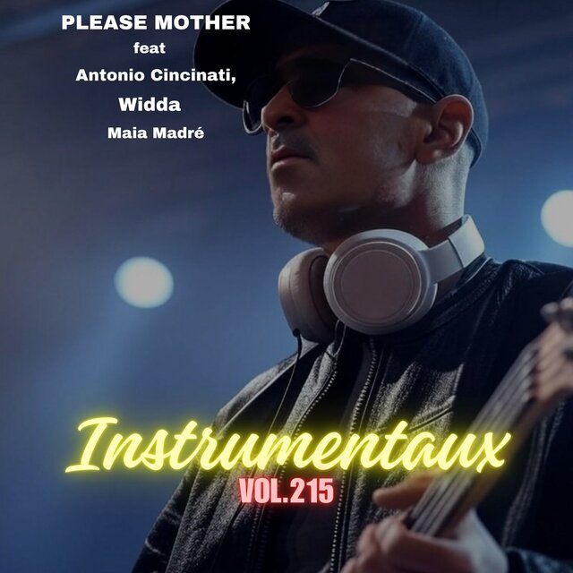 instrumentaux vol.215