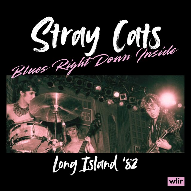 Blues Right Down Inside (Live Long Island '82)