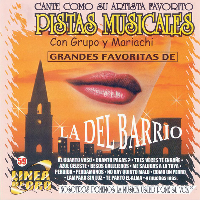 Pistas Musicales Con Grupo y Mariachi Grandes Favoritas De.. La del Barrio
