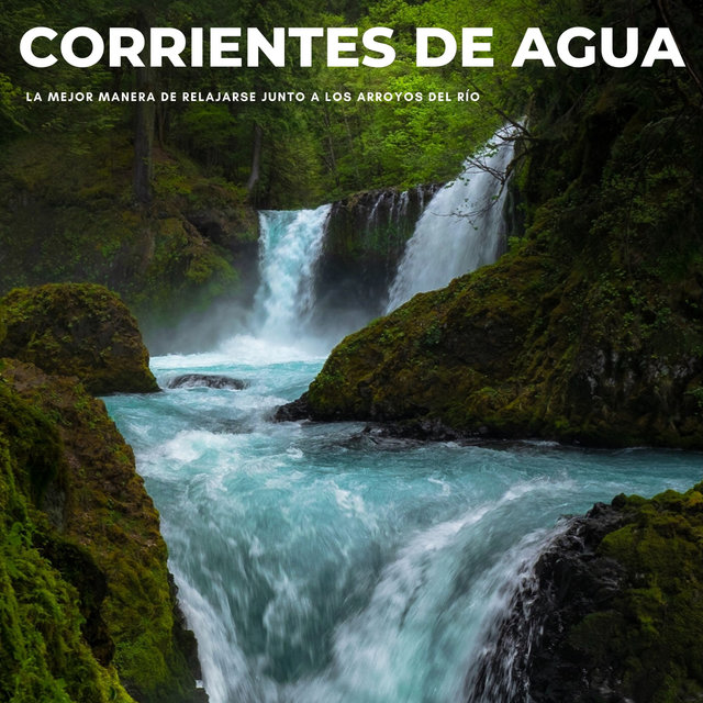 Corrientes De Agua: La Mejor Manera De Relajarse Junto A Los Arroyos Del Río