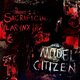 Cover art for album Model Citizen by Sacrificial Larynx