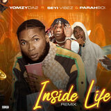 Inside Life