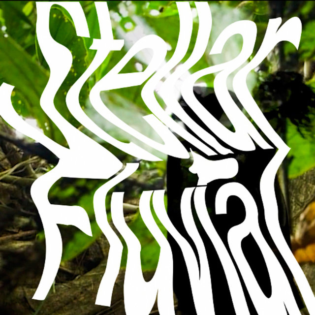 Stellar Fluvial