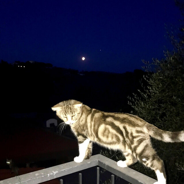 i'll give you the moon