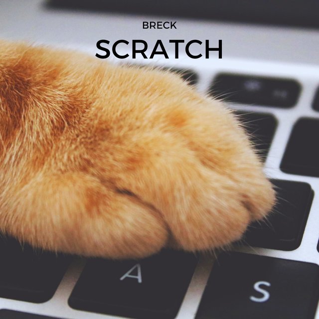 Scratch