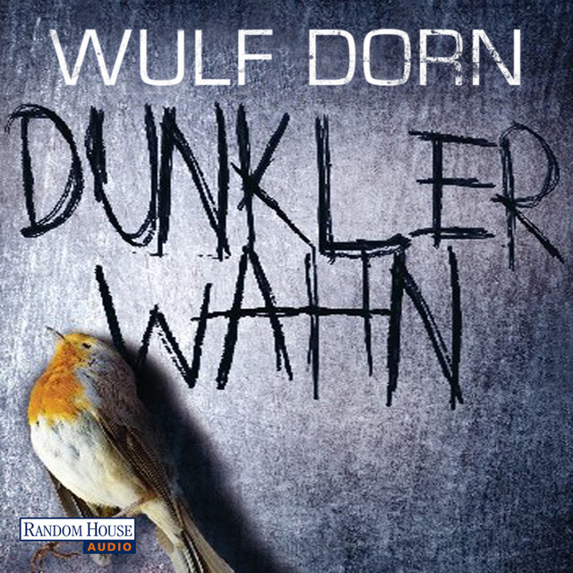 Dunkler Wahn (ungekürzte Fassung)