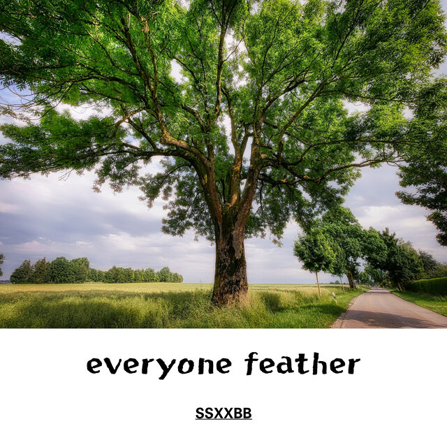 everyone feather