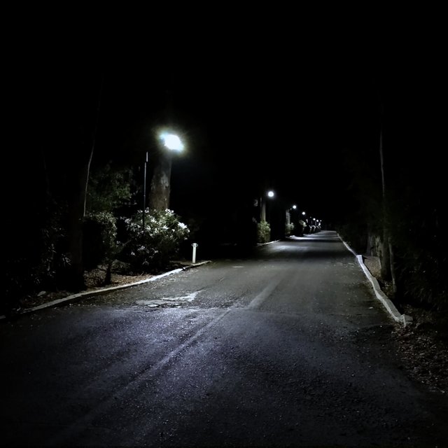 xaniel's lost songs
